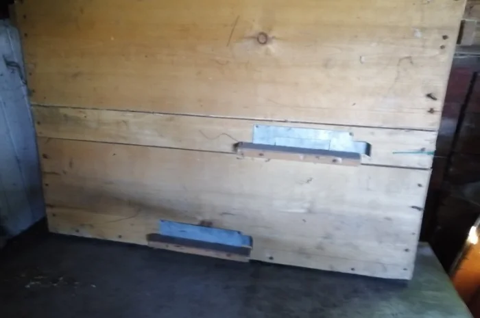 Продам діючу, здорову, пасіку 5 шт., лікувальний вулик та будиночок бджоляра на колесах- фото № 3