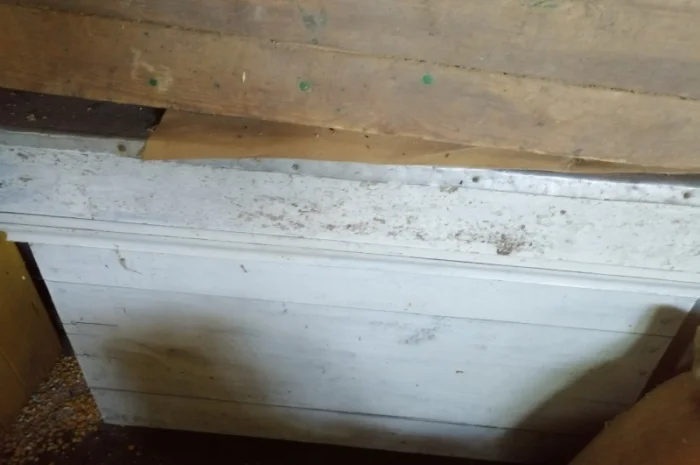 Продам діючу, здорову, пасіку 5 шт., лікувальний вулик та будиночок бджоляра на колесах- фото № 4