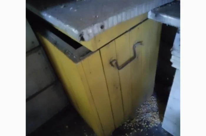 Продам діючу, здорову, пасіку 5 шт., лікувальний вулик та будиночок бджоляра на колесах- фото № 5