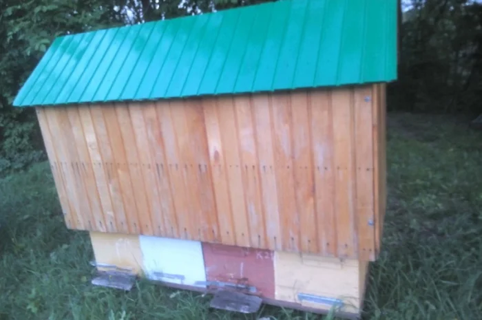 Продам діючу, здорову, пасіку 5 шт., лікувальний вулик та будиночок бджоляра на колесах- фото № 6