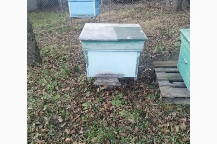Продам діючу, здорову, пасіку 5 шт., лікувальний вулик та будиночок бджоляра на колесах- фото № 7