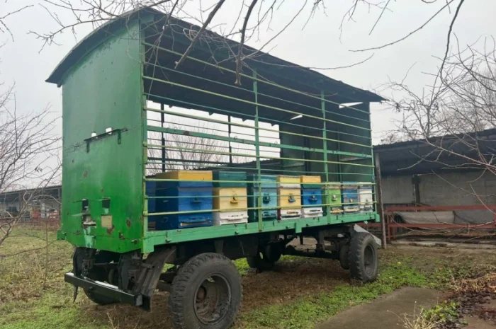 Продам свою пасеку, пчелосемьи, с вагончиком- фото № 4