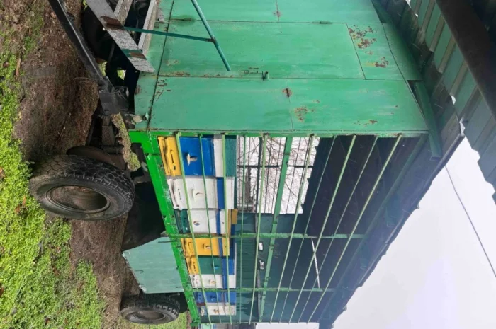 Продам свою пасеку, пчелосемьи, с вагончиком- фото № 6