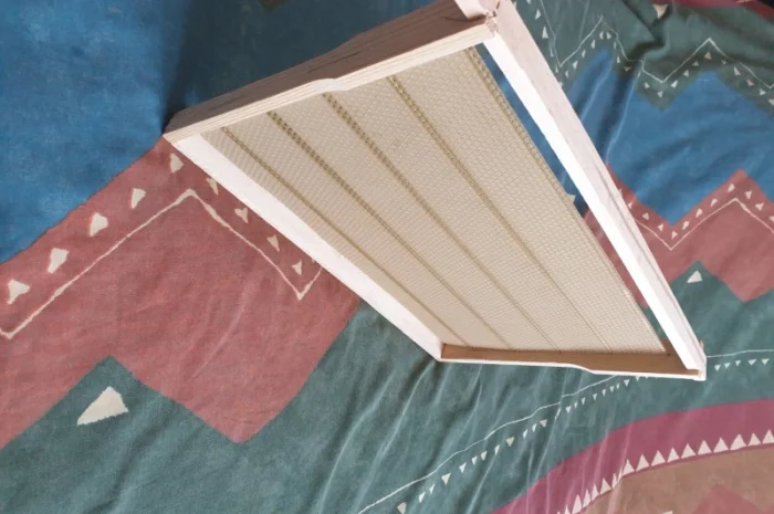 Продаж вуликів, рамок, бджіл, матки- фото № 9