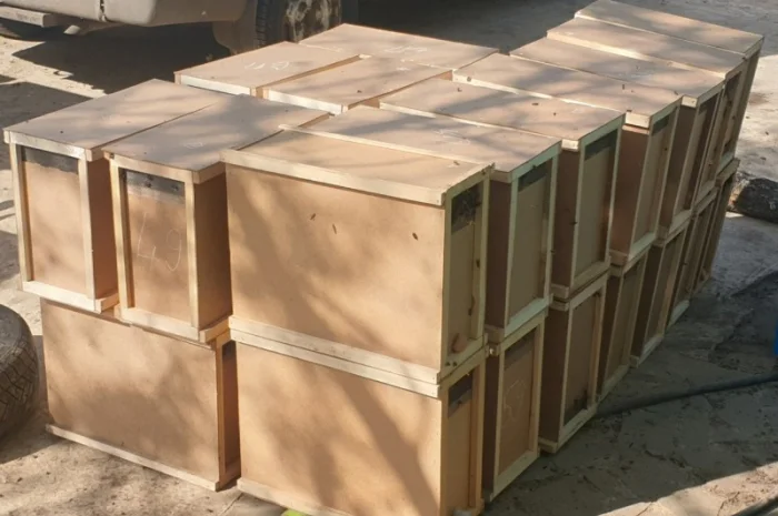 Продаж вуликів, рамок, бджіл, матки- фото № 3