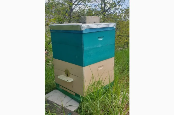 Продаж вуликів, рамок, бджіл, матки- фото № 19