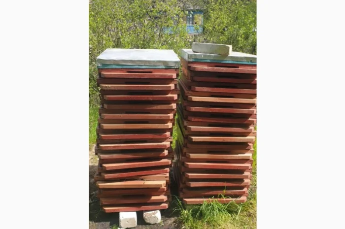 Продаж вуликів, рамок, бджіл, матки- фото № 18