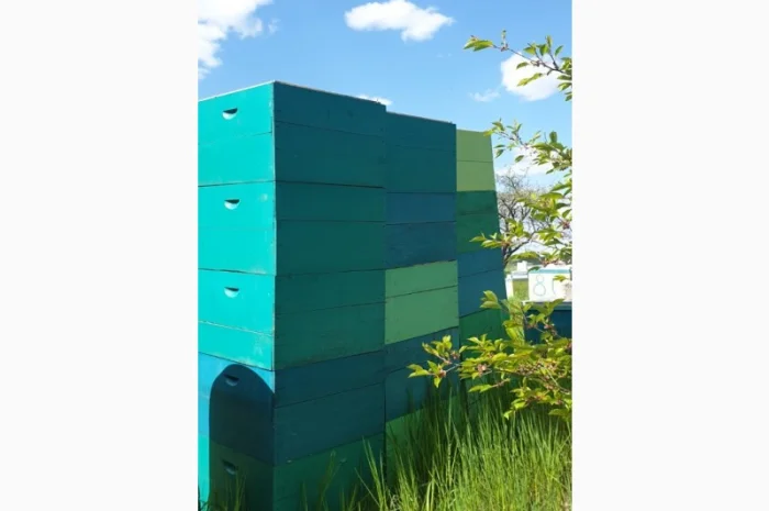 Продаж вуликів, рамок, бджіл, матки- фото № 16