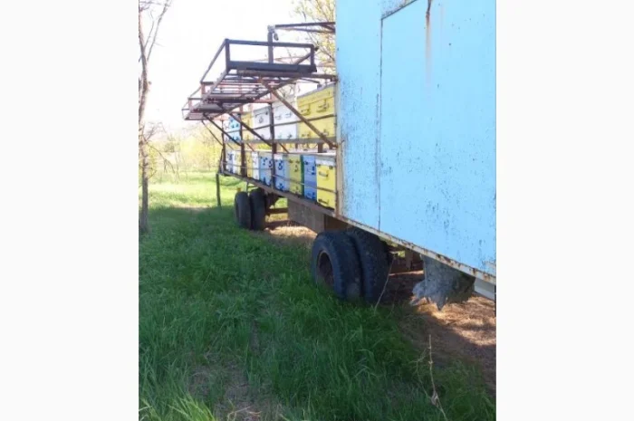 Продаю пчелоприцеп, пасеку! Прицеп для пчел с семьями- фото № 1
