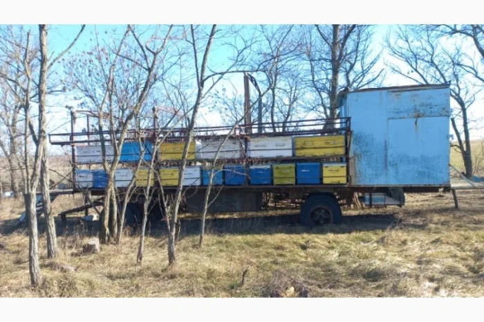 Продаю пчелоприцеп, пасеку! Прицеп для пчел с семьями- фото № 3
