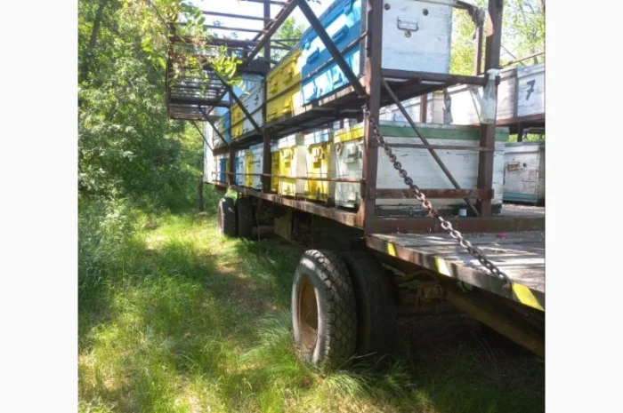 Продаю пчелоприцеп, пасеку! Прицеп для пчел с семьями- фото № 4