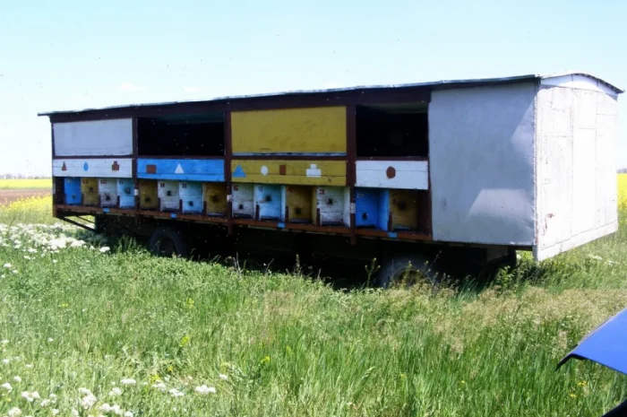 Продам павільйон Колосок- фото № 1