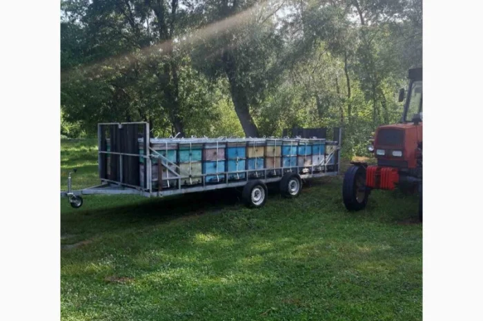 Продам пасіку- фото № 2