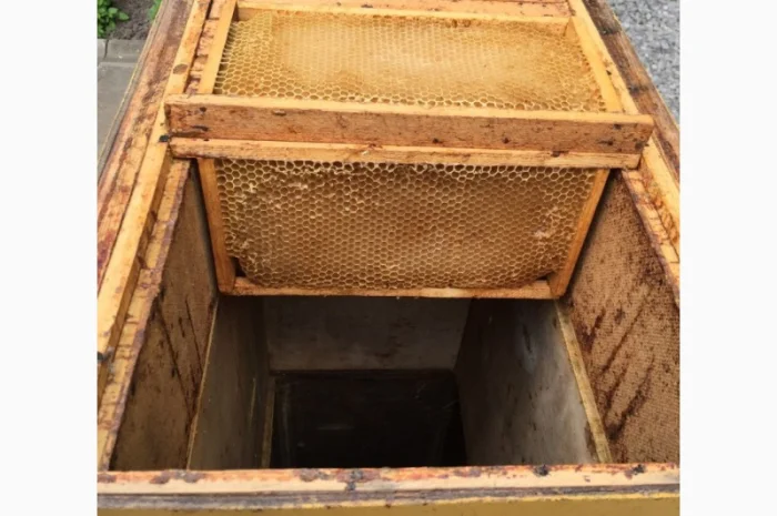 Продам пасіку- фото № 5