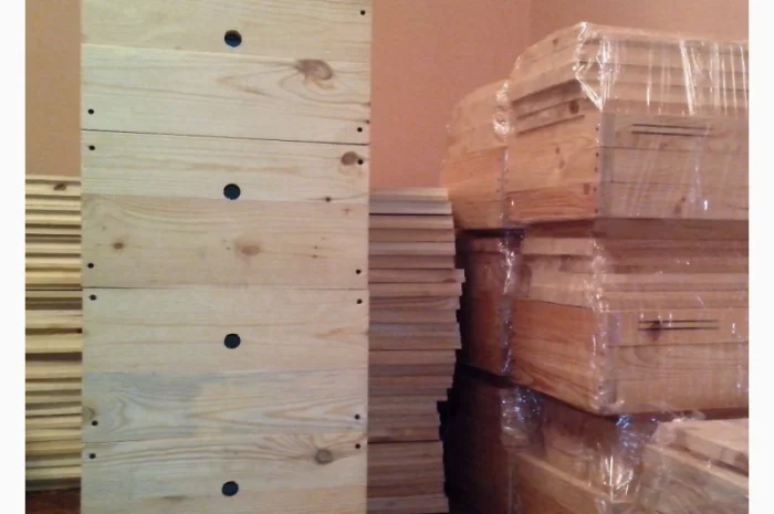 Вулик Дадан Корпусний- фото № 1