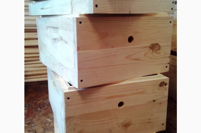 Вулик Дадан Корпусний- фото № 2