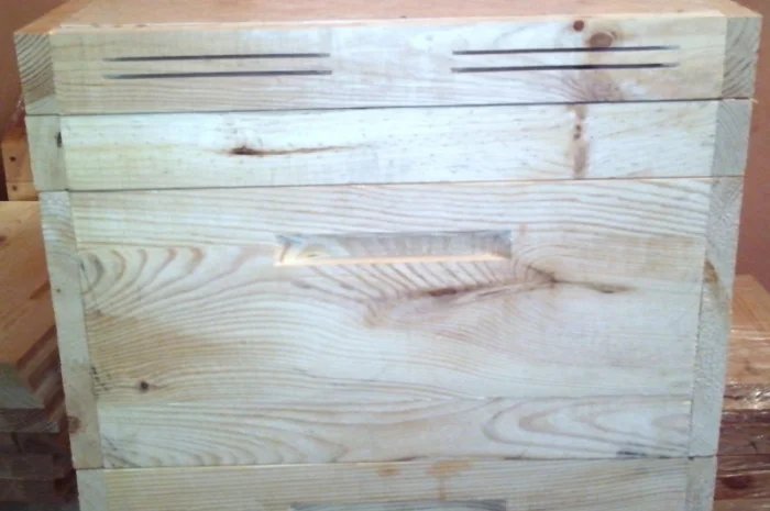 Вулик Дадан Корпусний- фото № 6