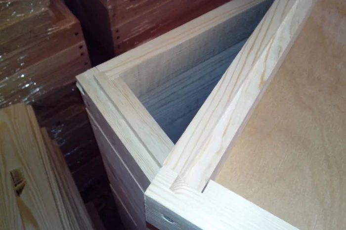 Вулик Дадан Корпусний- фото № 7