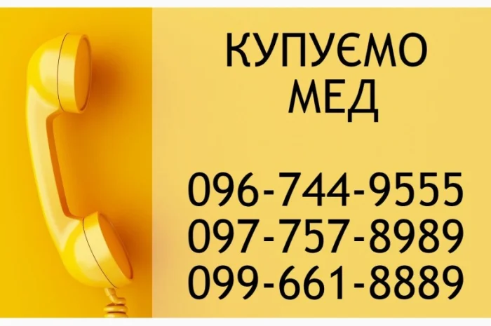 Закупівля натурального меду- фото № 1