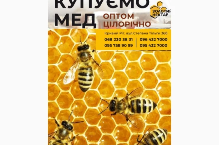 Купуємо мед оптом- фото № 1