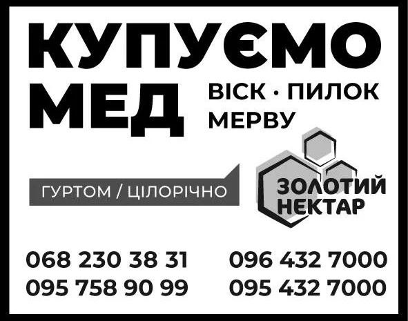 Куплю мёд оптом без антибиотиков- фото № 1