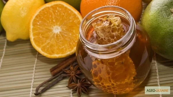 Закупаем мёд оптом без антибиотиков- фото № 1
