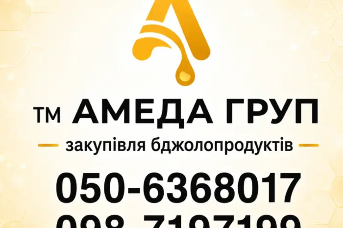 Купаем мед подсолнечника оптом АМЕДА ГРУП- фото № 1