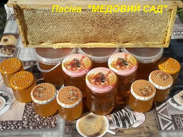 Натуральний мед від пасіки «Медовий сад»- фото № 2
