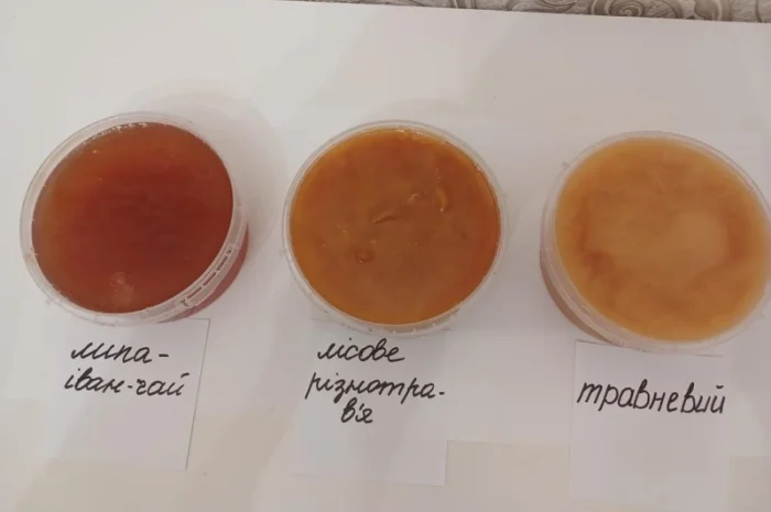 Мед из лесной пасеки в продаже- фото № 2