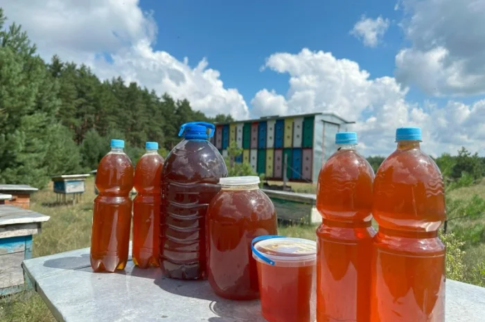 Мед из лесной пасеки в продаже- фото № 1