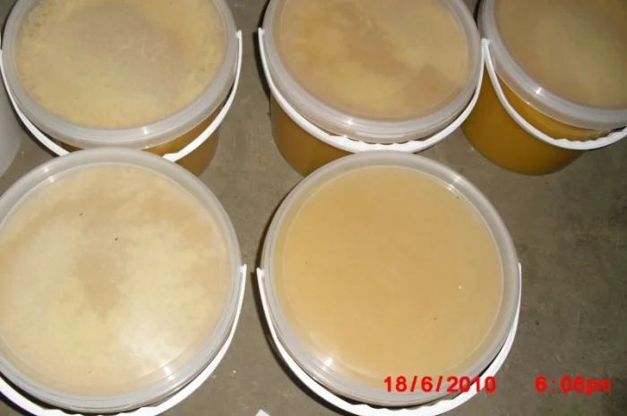 Продам натуральний мед зі своєї пасіки – 180 грн- фото № 2