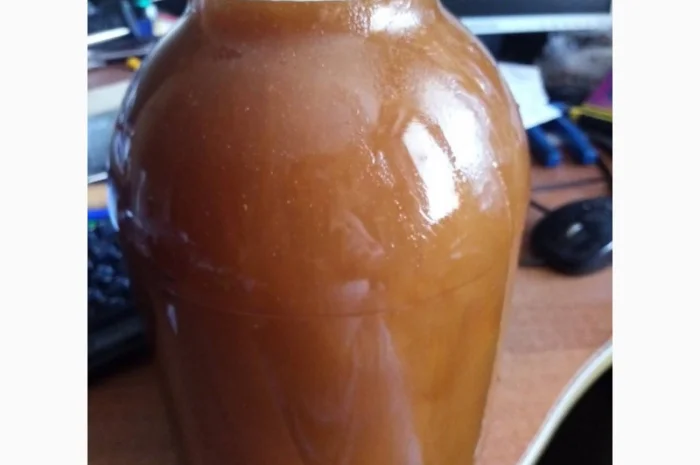 Мед диких бджіл (колодочний, бортьовий)- фото № 1