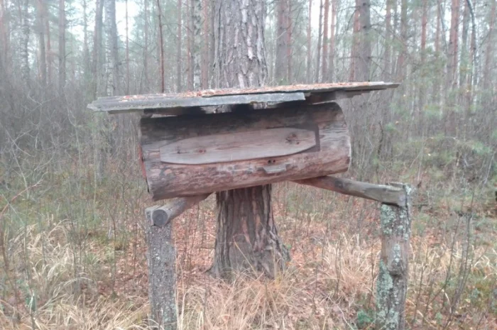 Мед диких бджіл – бортевий мед- фото № 3