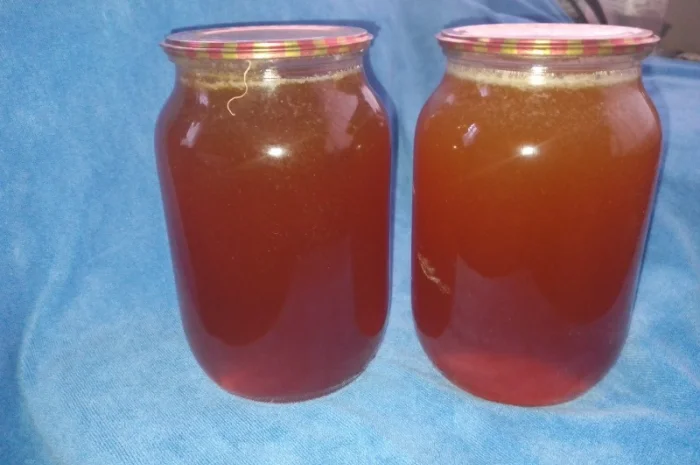 Мед диких бджіл – бортевий мед- фото № 4