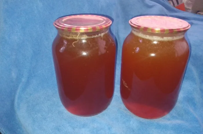 Мед диких бджіл – бортевий мед- фото № 5