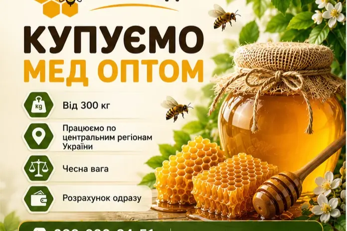 Купаем мед от 300 кг. ОПТ-МЕД- фото № 1