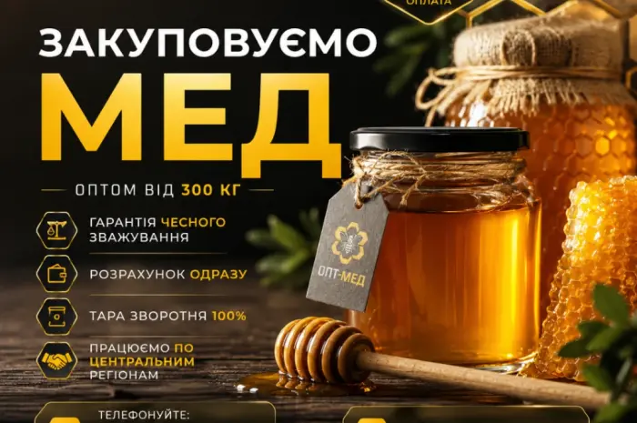 Купаем мед подсолнечниковый. ОПТ-МЕД- фото № 1