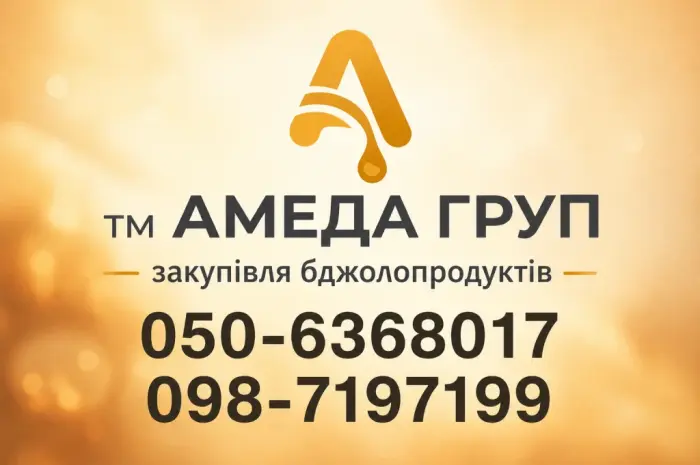 Закупка меда у пасечников Кировоградская обл АМЕДА ГРУП- фото № 1