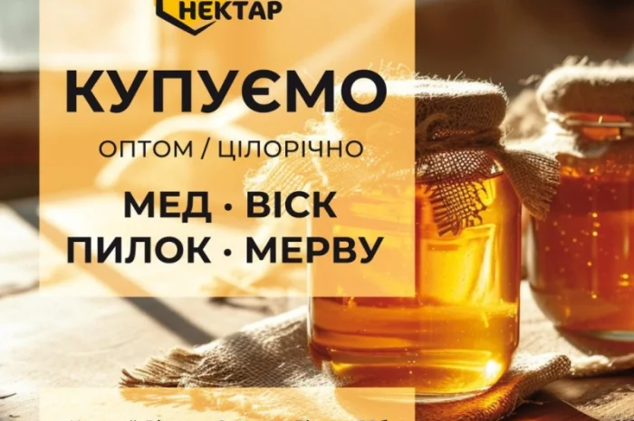 Куплю мед оптом - Золотый Нектар- фото № 1