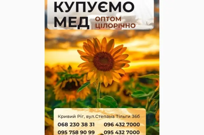 Гречаний мед- фото № 1