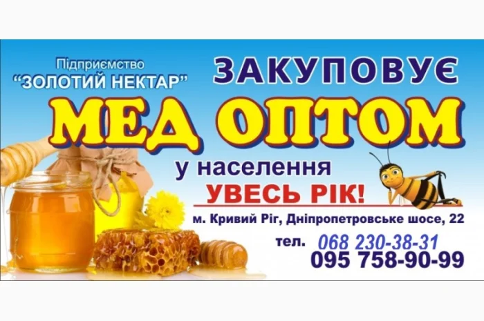 Закупівля меду оптом- фото № 1