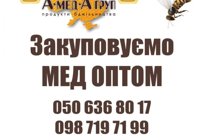 Закупаем мед оптом АМЕДА ГРУП Кропивницкий- фото № 1