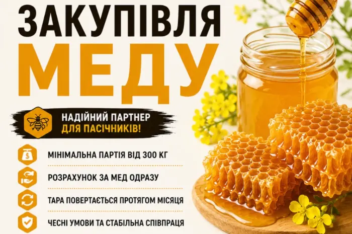 Закуповуємо мед оптом АМЕДА ГРУП Кіровградська- фото № 1