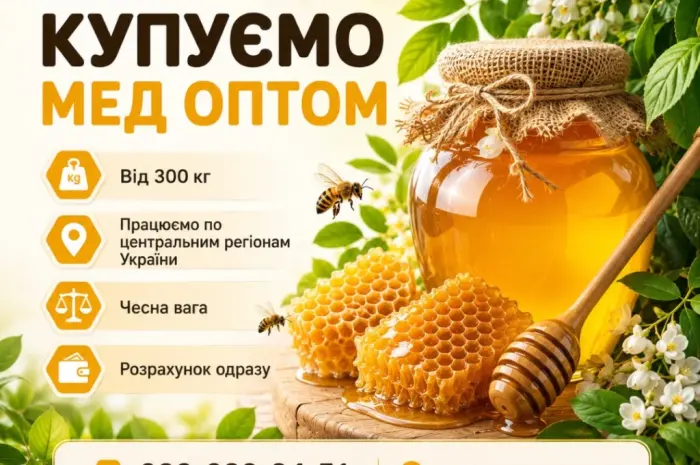 Оптовая закупка меда 300 кг.- фото № 1