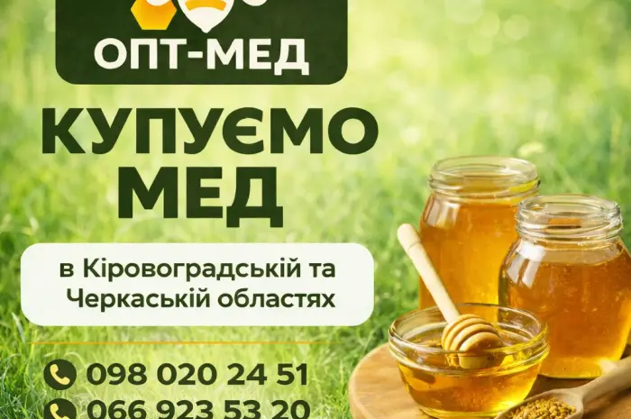 Купуємо МЕД соняшниковий в Кіровоградській обл- фото № 1