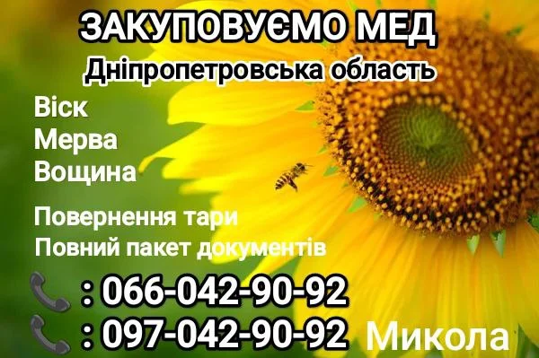 Закупаем мед оптом- фото № 1