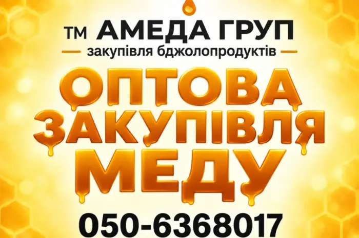 Купаем мед подсолнечника АМЕДА ГРУП- фото № 1