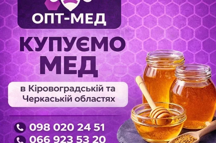 Закупаем мед оптом без антибиотиков- фото № 1