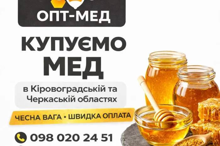 Купуємо мед оптом- фото № 1