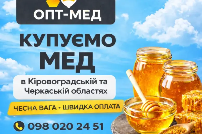 Закупівля меду з СОНЯХА в центральних регіонах. ОПТ-МЕД- фото № 1